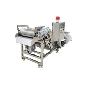 Fruits 380V Vegetable Washing Machine With Conveyor