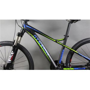 New design high grade OEM 29 inch aluminium alloy MTB bicicle with Shimano 21/24