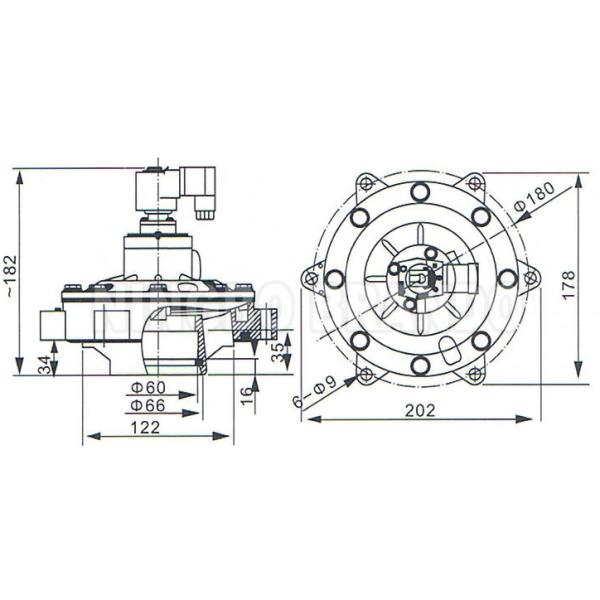 BG50MM LOGO BG50MM LOGO