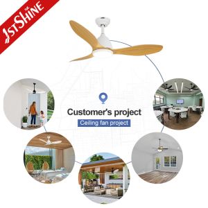 Decorative Ceiling Fan With LED Light Living Room Quiet Dc Motor
