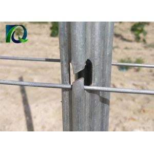 Galvanized Grape Stakes Post Vineyard Support Trellising 1.8MM x 2.6M Size