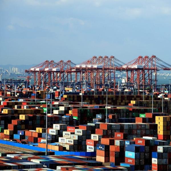 Quality To Usa Canada Lcl Freight Forwarder With 15-30 Days Transit Time wholesale