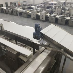 Industrial Complete Cookies / Hard Biscuit Production Line Automatic