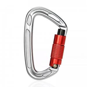 Cheap Sale Polished Aluminum Alloy Dog Leash with Precision Casting Screwgate Carabiner for sale