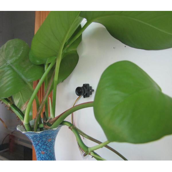 Mini CCTV Camera 520TVL 90 degree Screw Holes Mini Spy Camera