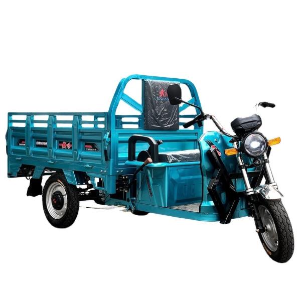 Quality Front and Rear Drum Brake System 72V 1000w Electric Tricycle for Adult from DAYANG wholesale