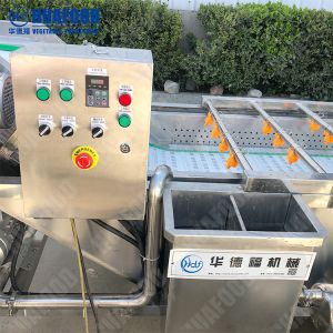 Factory Supplier Air Bubble Vegetable Washing Machine Mini