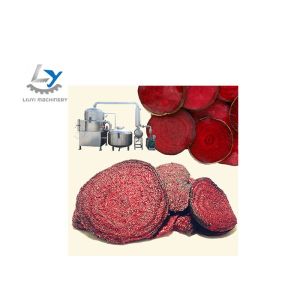 Popular Vegetable Chips Making Machine , Vacuum Fryer For Frying Beet Root Chips