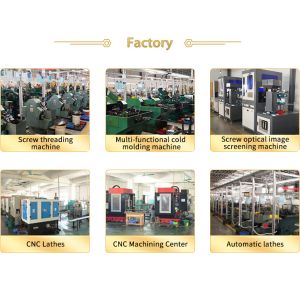 Plain Finish Brass Cross Recessed Special Screw Customized With Non Standard