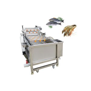 Ozone Bubble Chili Raisin 500kg/h Mango Washing Machine