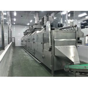 Small Scale Fresh Juice Mango Processing Plant 2t/H