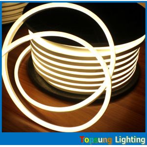 good quality 10*18mm UV resistance 164'(50m) spool ultra-slim Palm tree neon