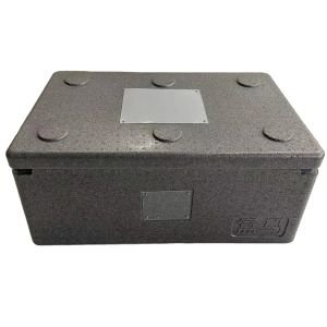 OEM ODM Eco Friendly Recyclable EPP Box EPP Cooler Thermal Insulation