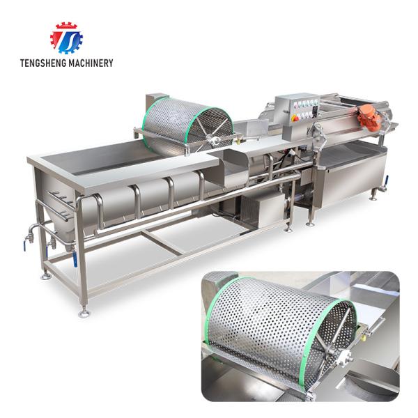1000KG/H Automatic eddy current washing machine Fruit and vegetable vortex