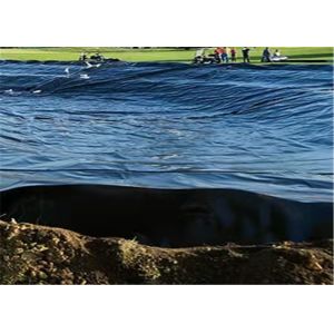 Artificial Lake Tank Hdpe Geomembrane Pond Liner Dam Lining 2.5mm Thick