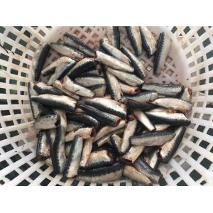 Natural Glaze HGT Fresh Frozen Sardines For Canning