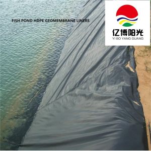 -Directed Supply of Waterproof HDPE Geomembrane Liners Ideal for Aquaculture