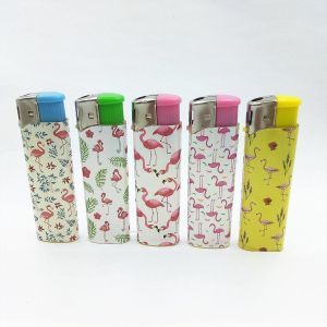 Model NO. DY-007 Child-Proof Plastic Electronic Gas Lighter with ISO9994