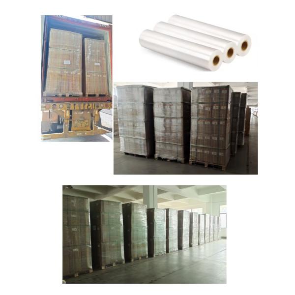Quality Polyester Pet Film Roll , Polyester Film Multiple Composite  Extrusion Processing Type wholesale