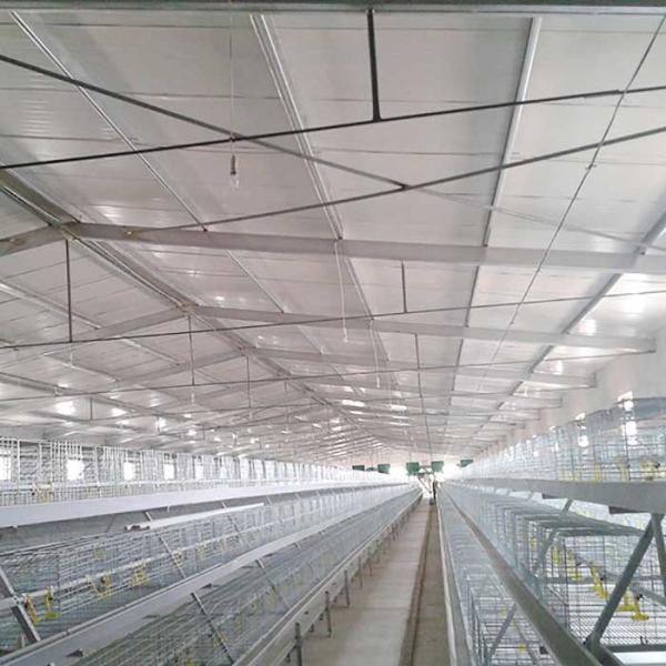Quality Aging Resistance Poultry Farm Cage , Three Tiers Battery Cage System For Broilers wholesale