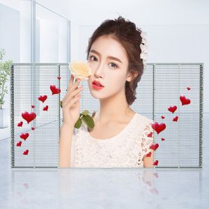 Transparent Glass Led Screen Wall Curtain Window Superior IC P3.9 P7.8mm
