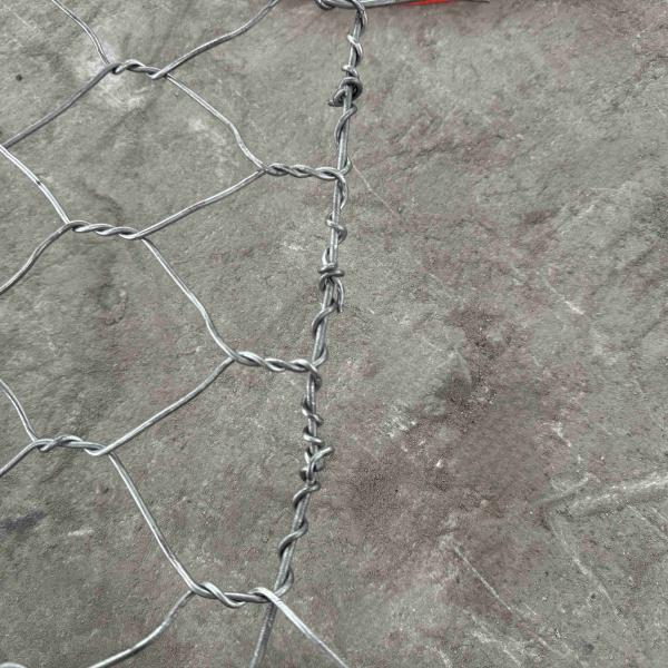 2.2-3.05mm Galvanized 80x100mm Aperture 2x1x1m Standard Size Metal Woven Gabions
