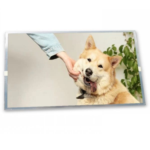 Quality stock Compatible 8.4-Inch High Resolution WLED LCD Display Module 800*600 ODM AA084SB01 wholesale