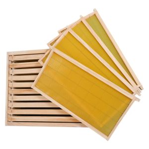 China 20mm Thickness Plastic Frame Complete Bee Hive Kit With Foundation on sale