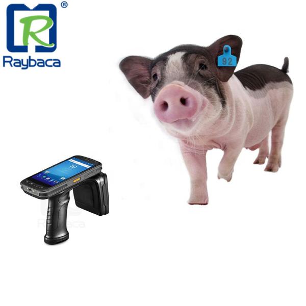 Quality UHF 960Mhz Android System Handheld RFID Reader Support Second Development wholesale