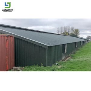 High Quality Prefabricated Steel Structure Warehouse Building Garage Shed