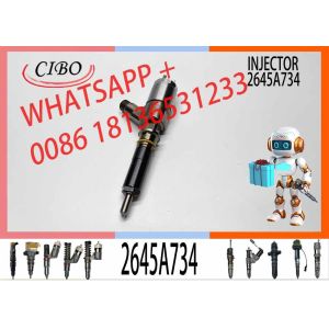 Excavator Injector Engine C6.6 Diesel Fuel Injector 2645A734 306-9380 10R-7672