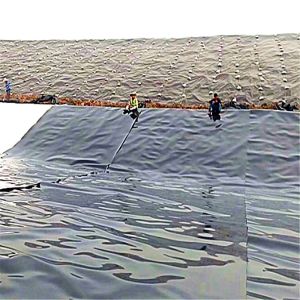 Waterproof Geomembrane for Agriculture Fish Pond Shrimp Liner 1mm 2mm Industrial