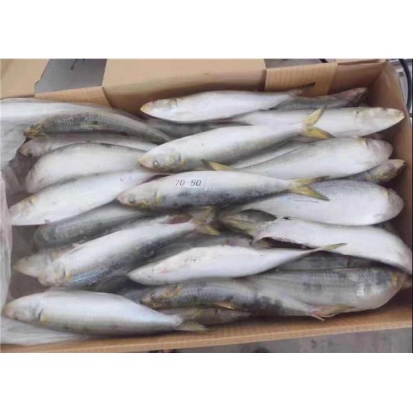 Fresh 75g Sardinops Melanostictus Frozen Sardine Fish