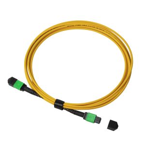 3m 10ft MTP-12 APC Female to MTP-12 APC Female Single Mode OS2 Plenum MPO Patch