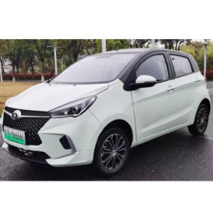 Electric Hatchback F10 Supports Fast Charging with Five Seats Big Space