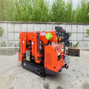 Cheap CE Telescopic Boom Spider Crane 2 Ton Mini Crawler Crane for sale