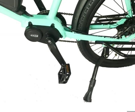 Road Occasion 20 Inch 350W 5PAS 7 Speed Ananda Bafang MID Drive Electirc Bike