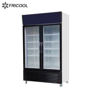 Single Temperature 7A 2 Glass Door Freezer Merchandiser 110V 60HZ