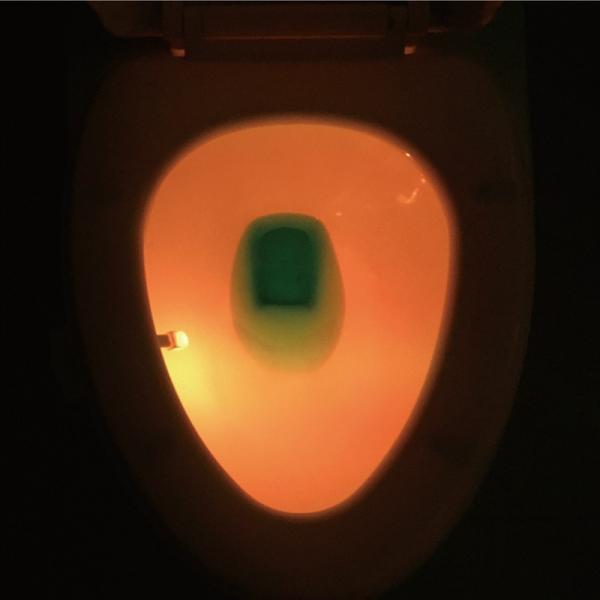 8 Colors Battery Powered Toilet Led Nightlight Motion Activated Led Night Light Bowl Lightbowl Led Lamp