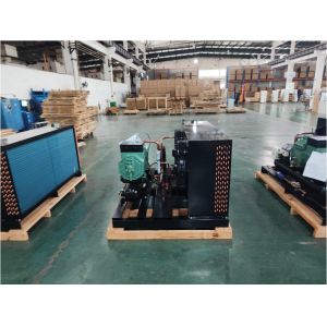 Customized Refrigeration Cold Room Condensing Unit Piston Compressor