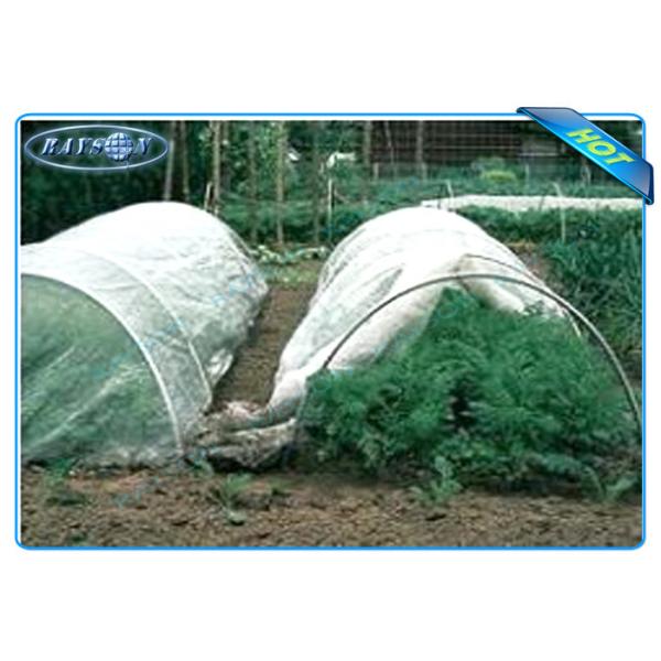 Quality Good Strength Black / White Color 30 gsm Agriculture Non Woven Cover wholesale