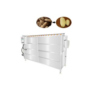 Brush Type Washer 2000kg/h Veg Peeling Machine For Carrots