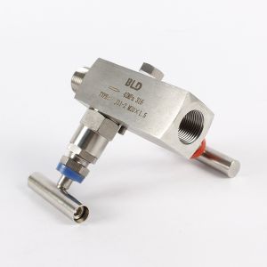 304 Stainless Steel Internal Thread Two Valve Group Integrated Instrument