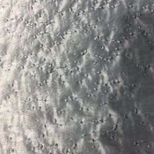 Dyed Birdseye Maple Veneer Sheet Plywood Surface Moisture Resistant