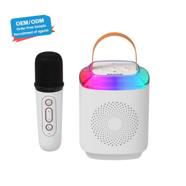 Outdoor DJ Party Karaoke Speaker With Wireless Microphone And Bluetooth