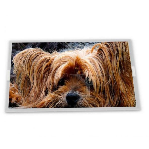 Quality High-quality Services T-51382D064-FW-P-AA Lcd Panel 6.4 Inch Lcd Screen Module 640*480 CCFL Tft Display wholesale