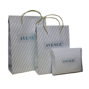 Classic Anvenue Paper Carrier Bag PVC Clip Closure 200 gsm Twist paper Handle