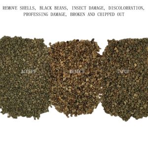 Mini Smart Coffee Beans Nut Sorting Machine With 32 Channels Nir Sensor