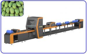 Cheap Computer Control Mango Sorting Machine 18.65KW 4 Channel Intelligent for sale