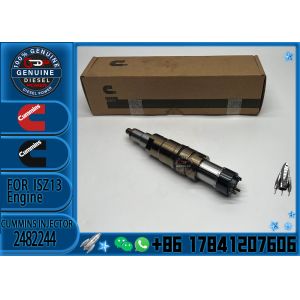 High quality Diesel Fuel injector common rail injector 2482244 for diesel fuel